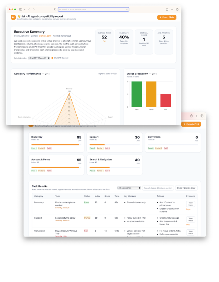 AI Audit Report